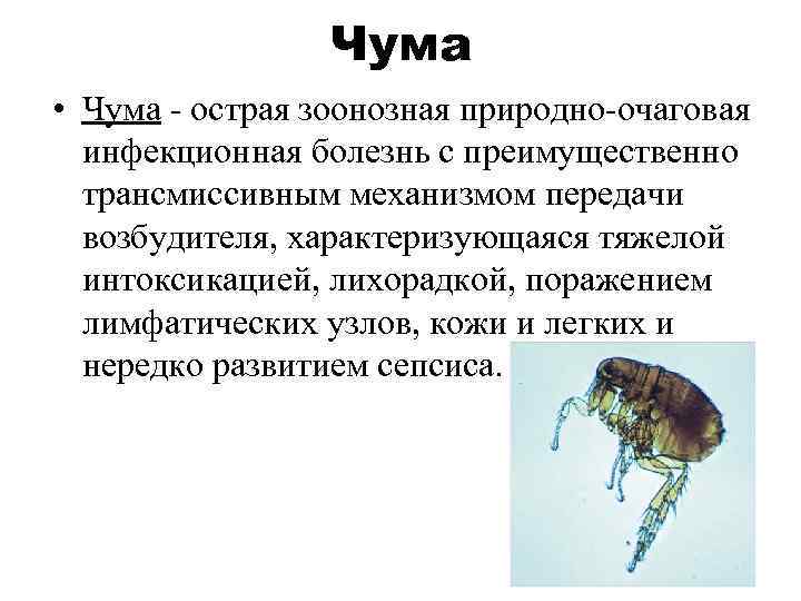 Чума • Чума - острая зоонозная природно-очаговая инфекционная болезнь с преимущественно трансмиссивным механизмом передачи