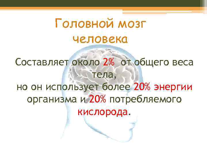 Головной мозг человека Составляет около 2% от общего веса тела, но он использует более