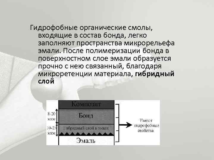 Адгезивные системы презентация