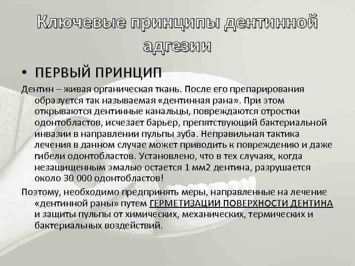 Адгезивные системы презентация