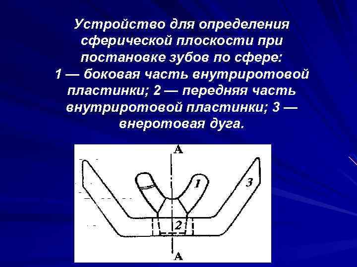 Постановка зубов по сферическим поверхностям презентация