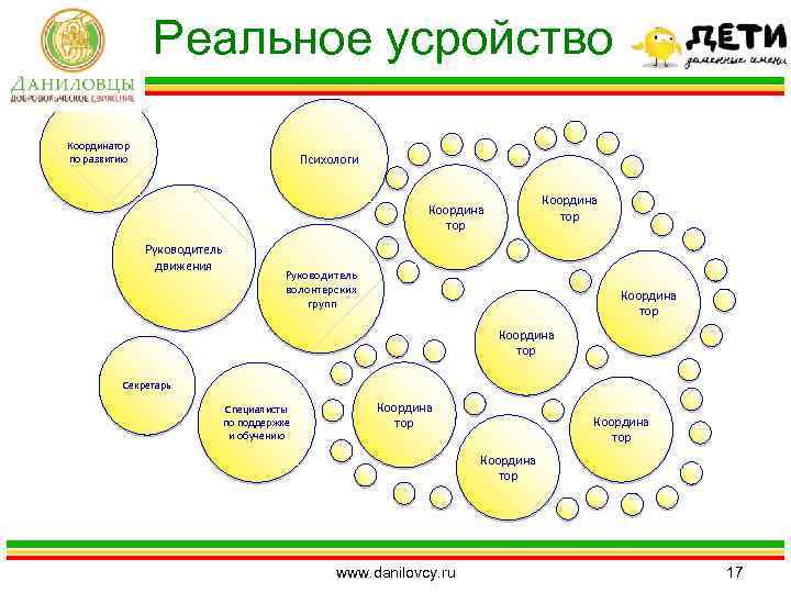 Реальное усройство Координатор по развитию Психологи Координа тор Руководитель движения Руководитель волонтерских групп Координа