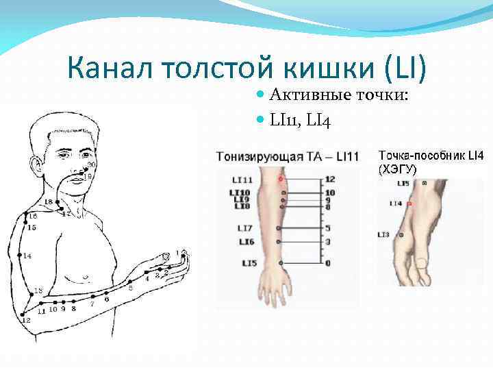 Канал толстой кишки (LI) Активные точки: LI 11, LI 4 