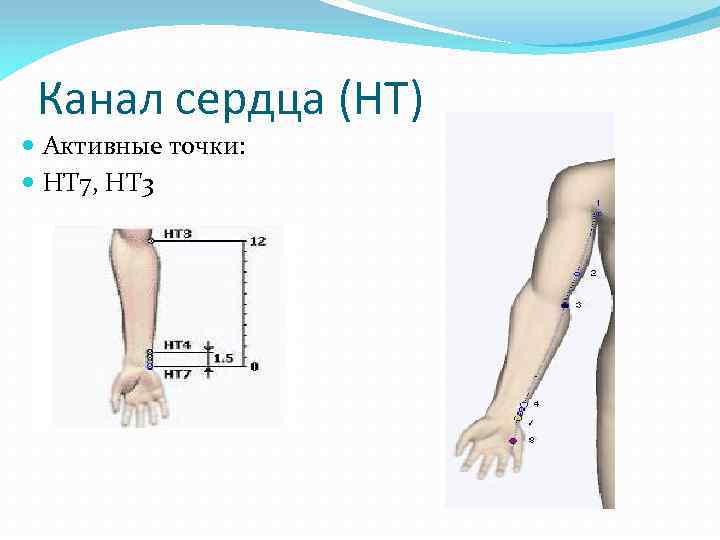 Канал сердца (HT) Активные точки: HT 7, HT 3 