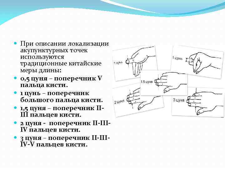  При описании локализации акупунктурных точек используются традиционные китайские меры длины: 0, 5 цуня