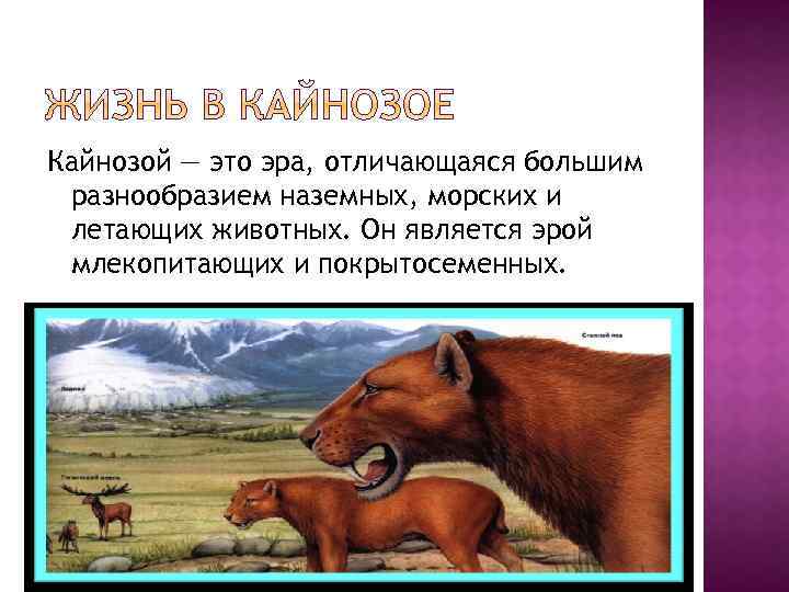 Второй период кайнозоя 6 букв. Кайнозой господство. Кайнозойская Эра. Млекопитающие кайнозойской эры. Кайнозойская Эра факты.