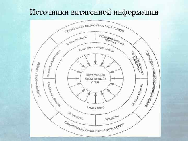 Источники витагенной информации 