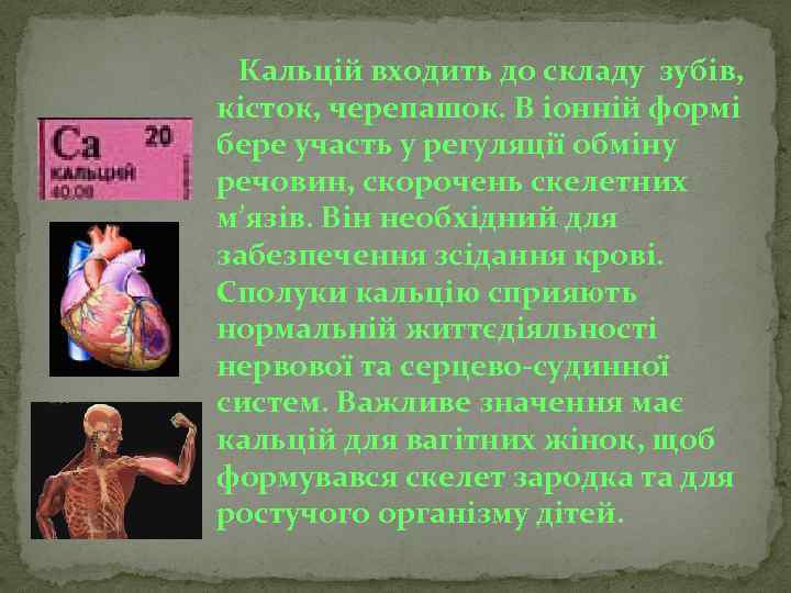 Кальцій входить до складу зубів, кісток, черепашок. В іонній формі бере участь у регуляції