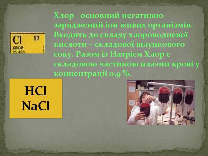 Хлор - основний негативно заряджений іон живих організмів. Входить до складу хлороводневої кислоти –