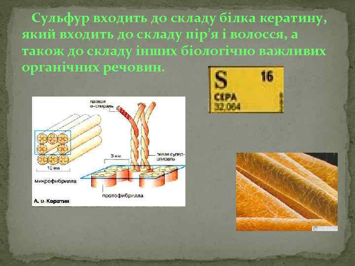 Сульфур входить до складу білка кератину, який входить до складу пір’я і волосся, а