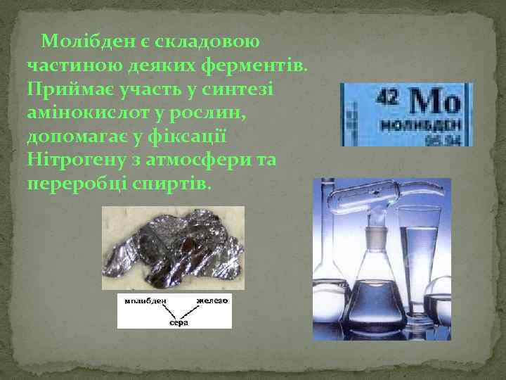 Молібден є складовою частиною деяких ферментів. Приймає участь у синтезі амінокислот у рослин, допомагає