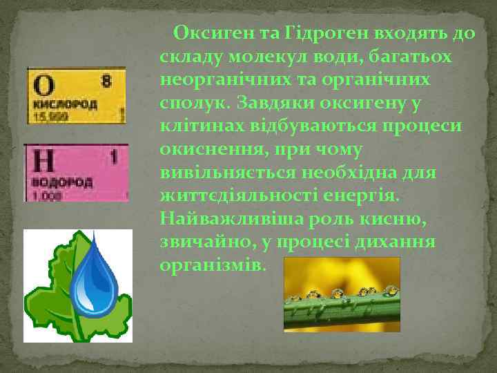 Оксиген та Гідроген входять до складу молекул води, багатьох неорганічних та органічних сполук. Завдяки