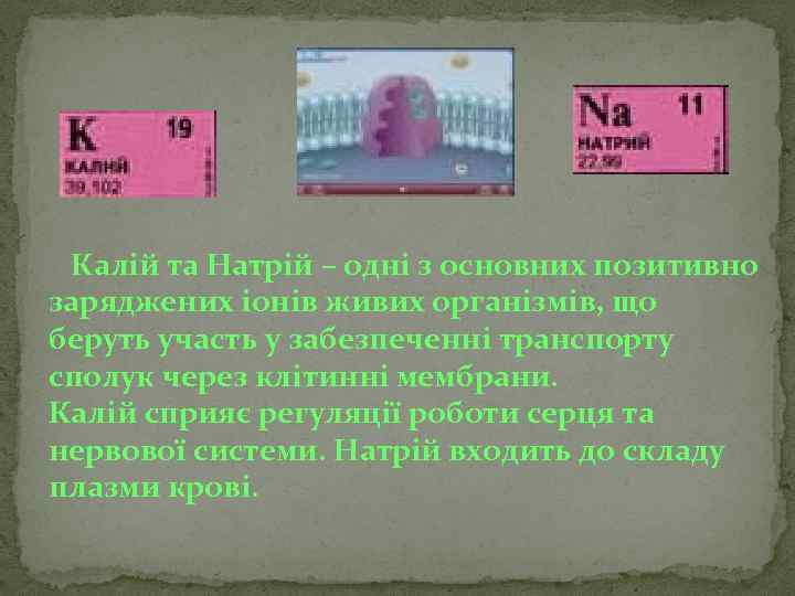 Калій та Натрій – одні з основних позитивно заряджених іонів живих організмів, що беруть