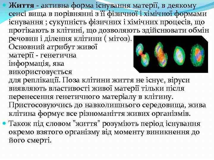  Життя - активна форма існування матерії, в деякому сенсі вища в порівнянні з