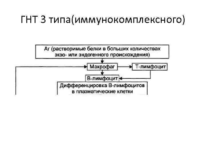 ГНТ 3 типа(иммунокомплексного) 