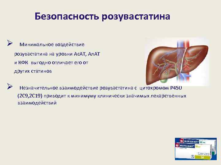 Безопасность розувастатина Ø Минимальное воздействие розувастатина на уровни Ас. АТ, Ал. АТ и КФК