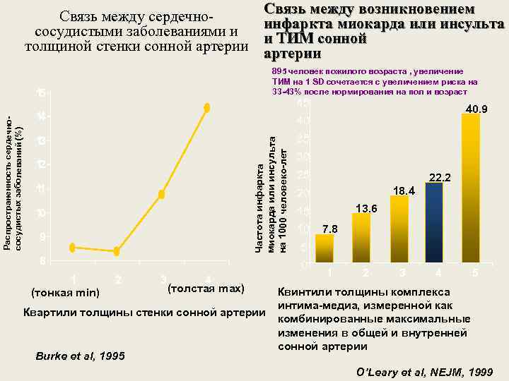 Связь между сердечнососудистыми заболеваниями и толщиной стенки сонной артерии Связь между возникновением инфаркта миокарда