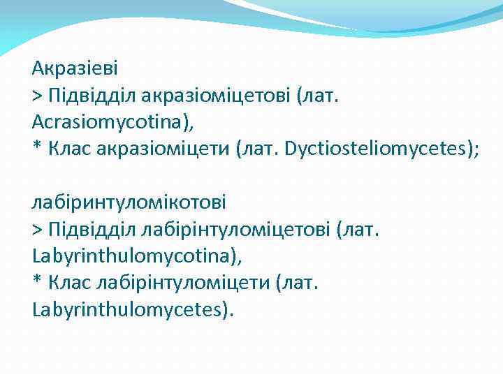 Акразіеві > Підвідділ акразіоміцетові (лат. Acrasiomycotina), * Клас акразіоміцети (лат. Dyctiosteliomycetes); лабіринтуломікотові > Підвідділ