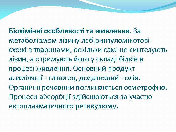 Біохімічні особливості та живлення. За метаболізмом лізину лабіринтуломікотові схожі з тваринами, оскільки самі не