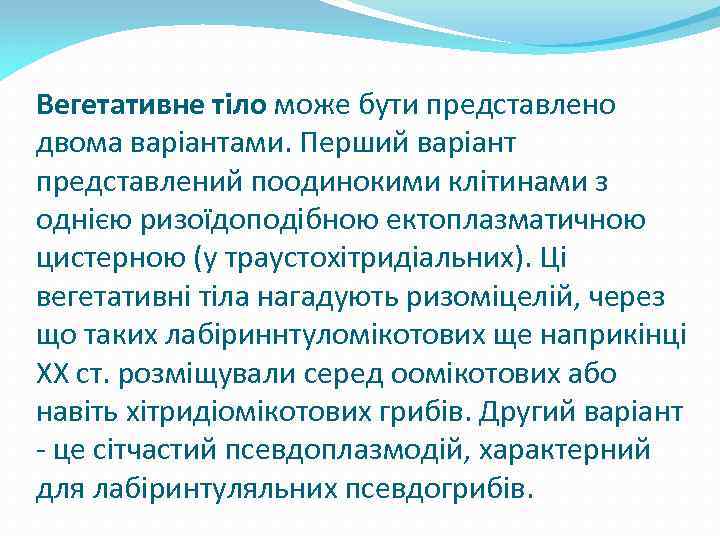 Вегетативне тіло може бути представлено двома варіантами. Перший варіант представлений поодинокими клітинами з однією