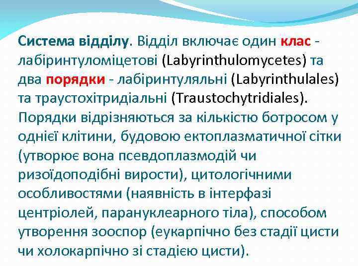 Система відділу. Відділ включає один клас - лабіринтуломіцетові (Labyrinthulomycetes) та два порядки - лабіринтуляльні