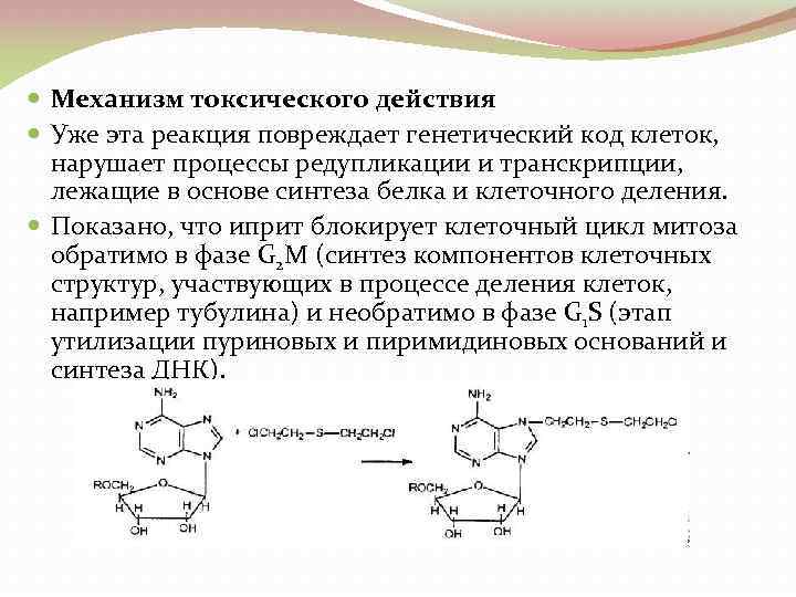  Механизм токсического действия Уже эта реакция повреждает генетический код клеток, нарушает процессы редупликации