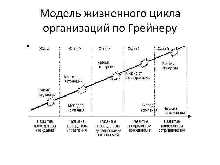 Этапы роста организации. Модель жизненного цикла л. Грейнера. Модель жизненного цикла организации л Грейнера. Жизненный цикл организации по л. Грейнеру. Стадии жизненного цикла организации по л. Грейнеру.