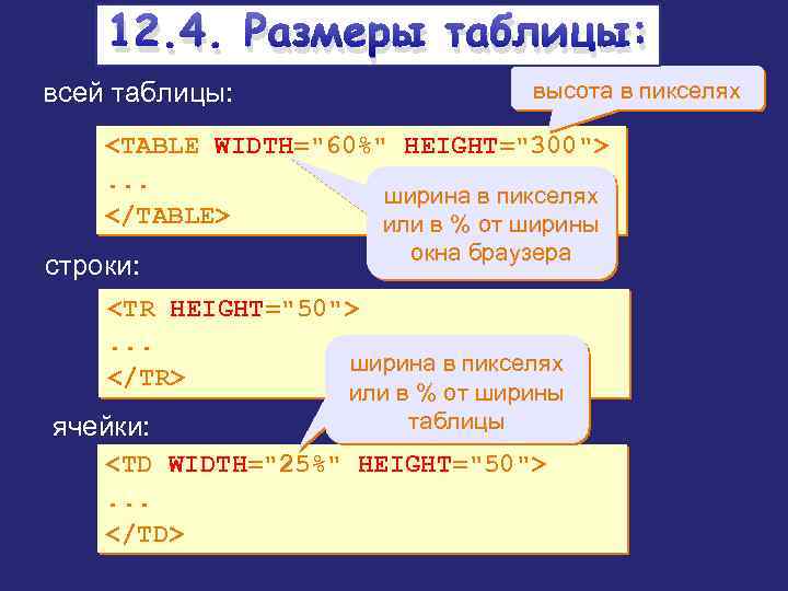 12. 4. Размеры таблицы: всей таблицы: высота в пикселях <TABLE WIDTH="60%" HEIGHT="300">. . .