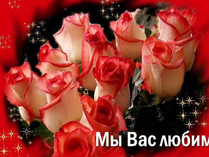 Мы Вас любим 