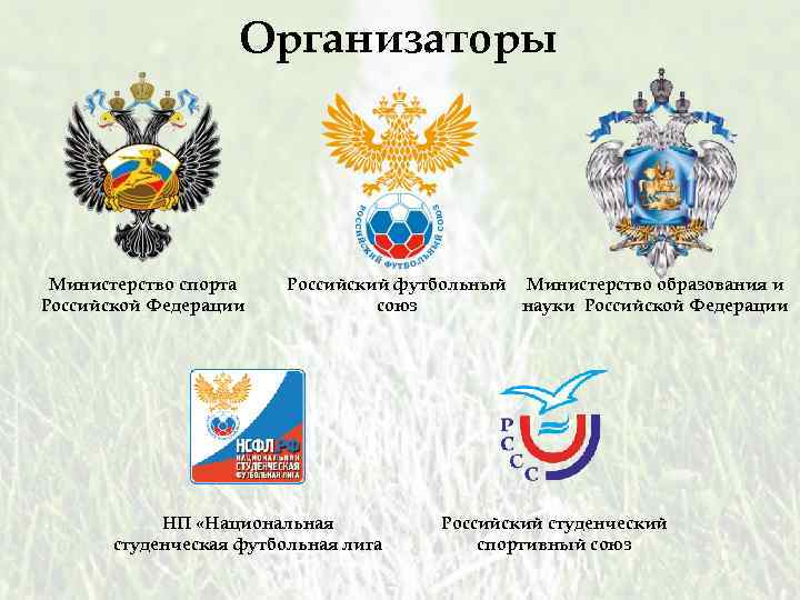 Субъект спортивной федерации