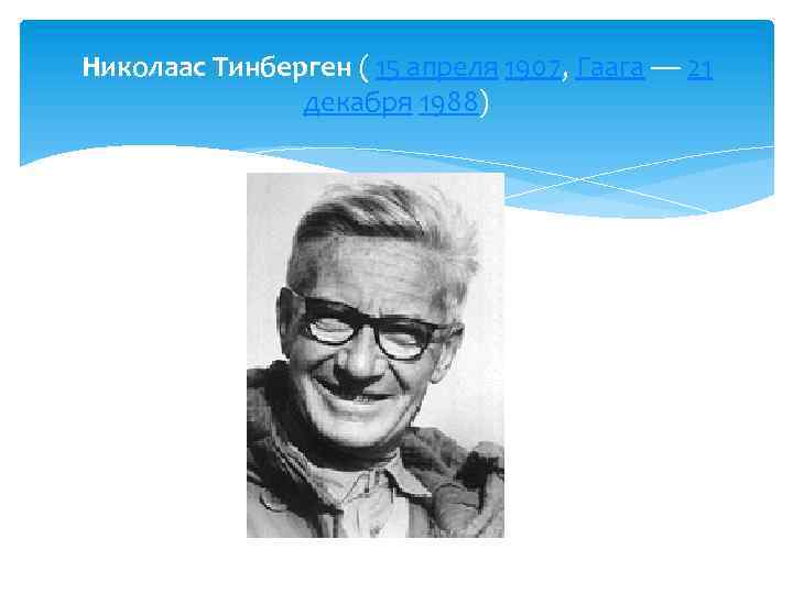 Николаас Тинберген ( 15 апреля 1907, Гаага — 21 декабря 1988) 