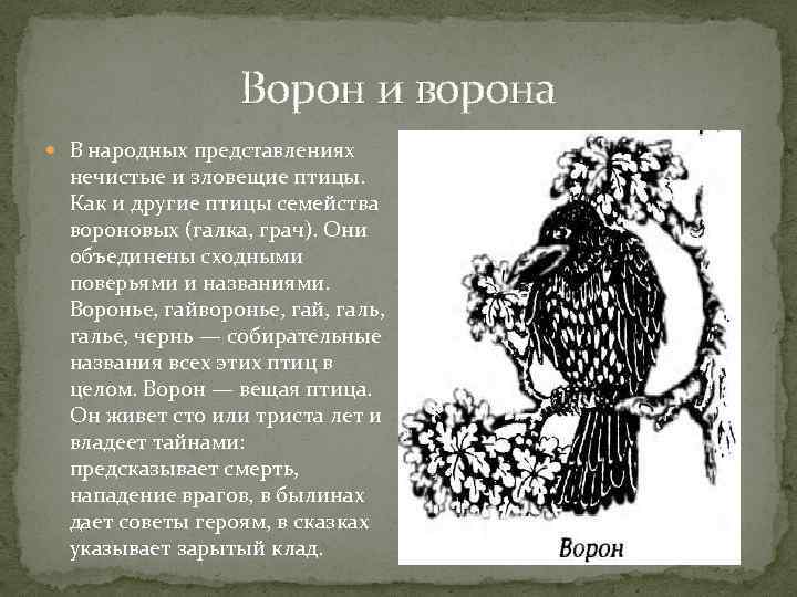 Что значит ворон. Ворон в фольклоре. Образ вороны в русских народных сказках. Образ ворона в фольклоре. Образ ворона в литературе.