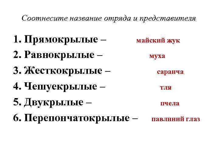 Соотнесите название отряда и представителя 1. Прямокрылые – майский жук 2. Равнокрылые – муха