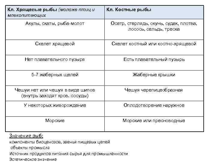 Кл. Хрящевые рыбы (моложе птиц и млекопитающих Кл. Костные рыбы Акулы, скаты, рыба-молот Осетр,