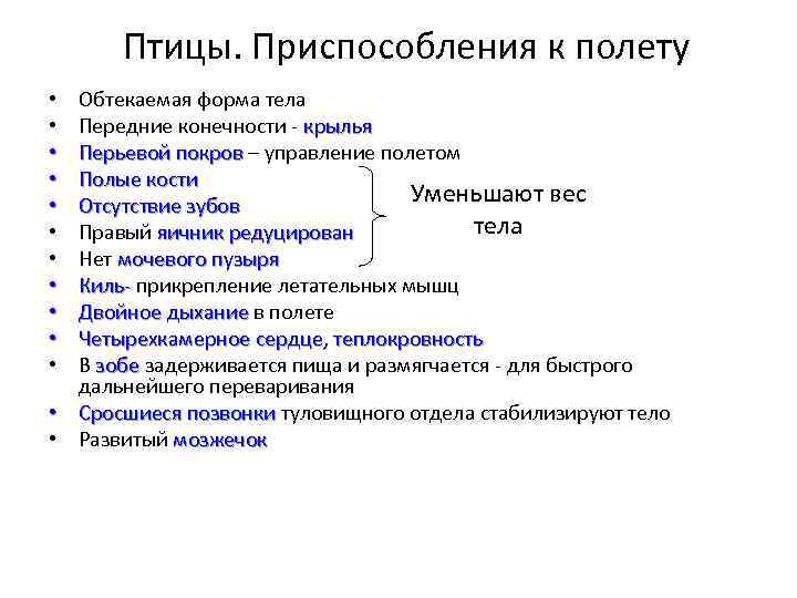 Птицы. Приспособления к полету Обтекаемая форма тела Передние конечности - крылья Перьевой покров –