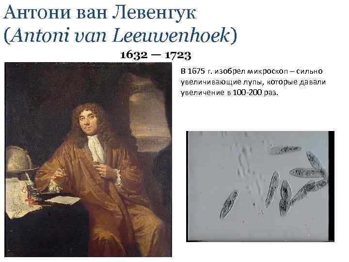 Антони ван Левенгук (Antoni van Leeuwenhoek) 1632 — 1723 В 1675 г. изобрел микроскоп