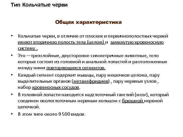 Тип Кольчатые черви Общая характеристика • Кольчатые черви, в отличие от плоских и первичнополостных