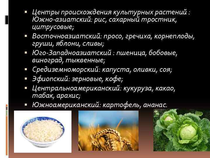  Центры происхождения культурных растений : Южно-азиатский: рис, сахарный тростник, цитрусовые; Восточноазиатский: просо, гречиха,