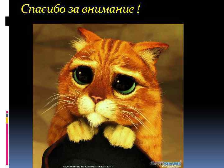 Спасибо за внимание ! 