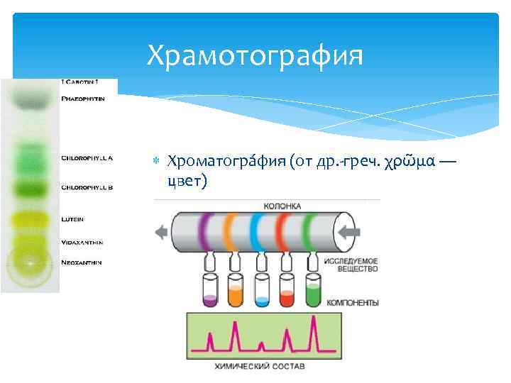 Храмотография Хроматогра фия (от др. -греч. χρῶμα — цвет) 