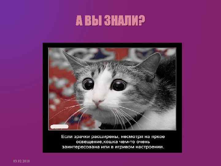 А ВЫ ЗНАЛИ? 03. 02. 2018 