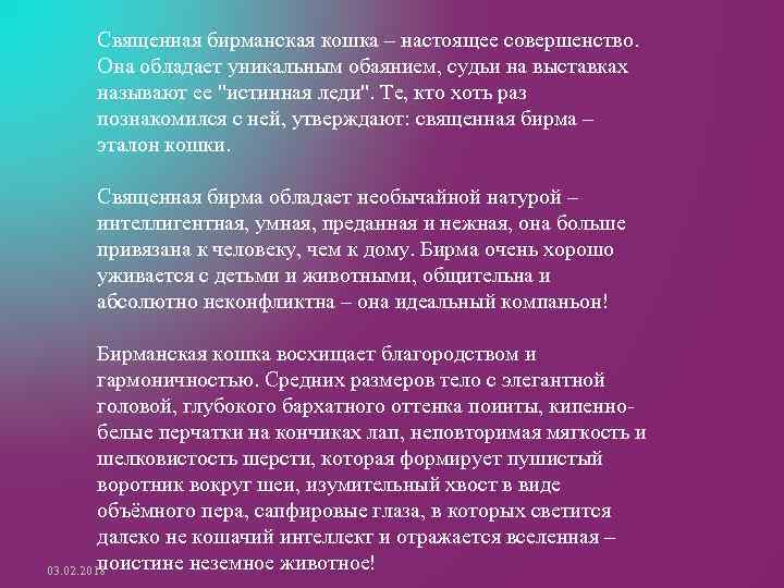 Священная бирманская кошка – настоящее совершенство. Она обладает уникальным обаянием, судьи на выставках называют