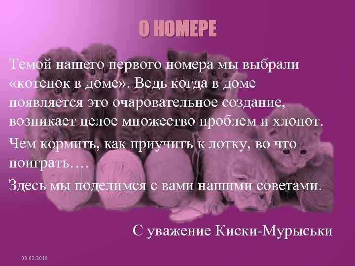 О НОМЕРЕ Темой нашего первого номера мы выбрали «котенок в доме» . Ведь когда