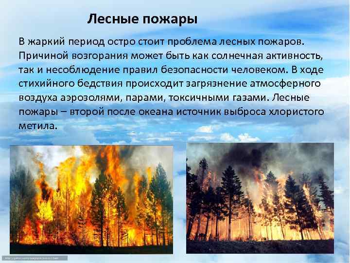 Лесные пожары В жаркий период остро стоит проблема лесных пожаров. Причиной возгорания может быть