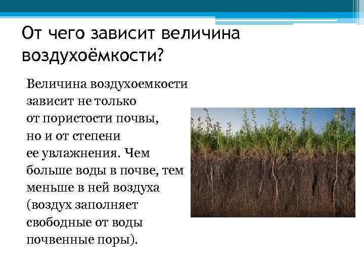 От чего зависит величина воздухоёмкости? Величина воздухоемкости зависит не только от пористости почвы, но