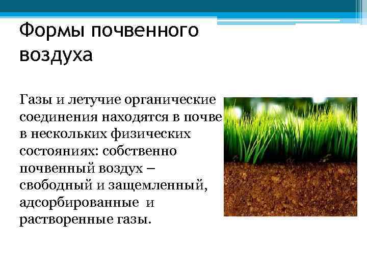 Формы почвенного воздуха Газы и летучие органические соединения находятся в почве в нескольких физических