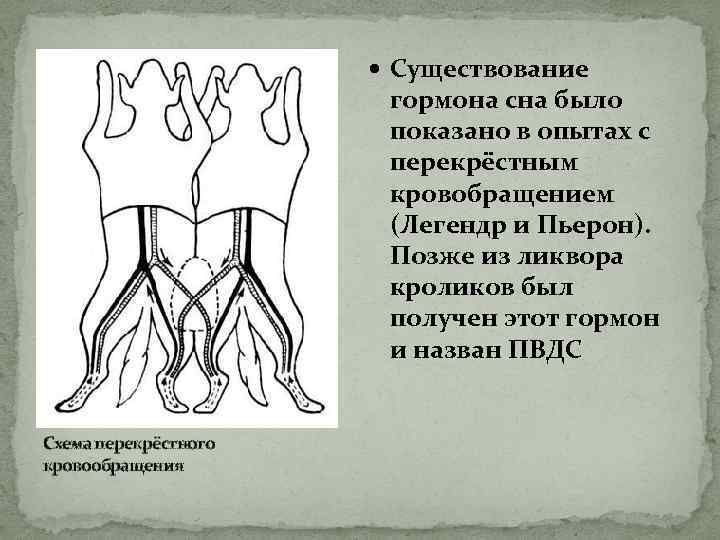  Существование гормона сна было показано в опытах с перекрёстным кровобращением (Легендр и Пьерон).
