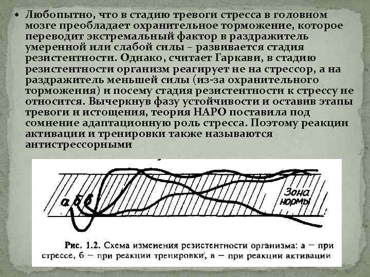  Любопытно, что в стадию тревоги стресса в головном мозге преобладает охранительное торможение, которое