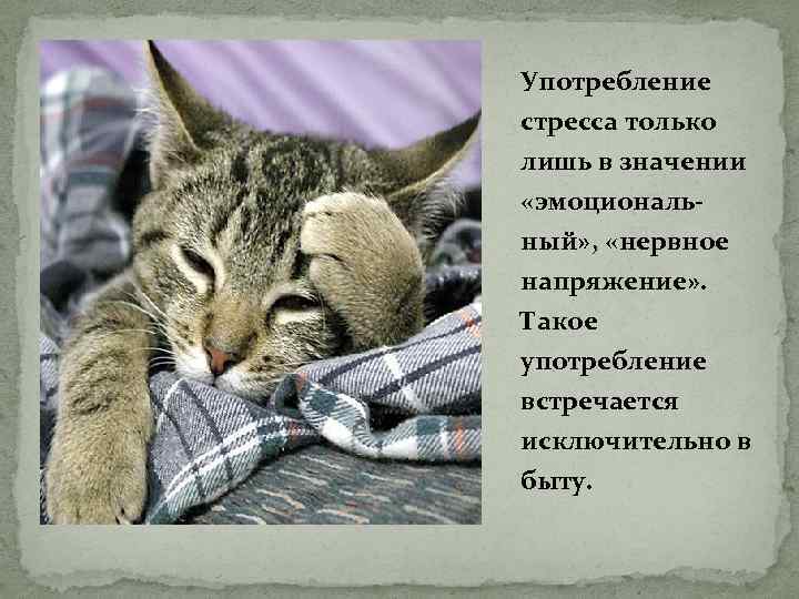 Употребление стресса только лишь в значении «эмоциональный» , «нервное напряжение» . Такое употребление встречается