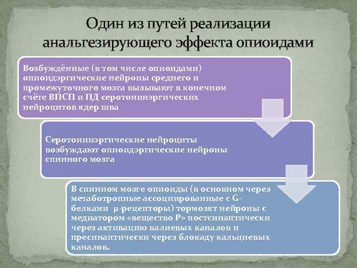 Один из путей реализации анальгезирующего эффекта опиоидами Возбуждённые (в том числе опиоидами) опиоидэргические нейроны